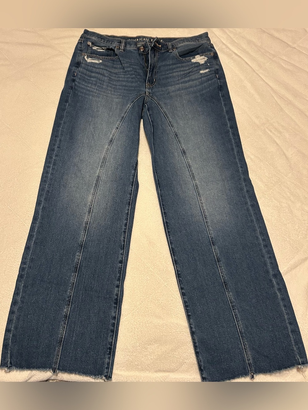 American Eagle Blue Low Rise Baggy Straight Jeans - size 12